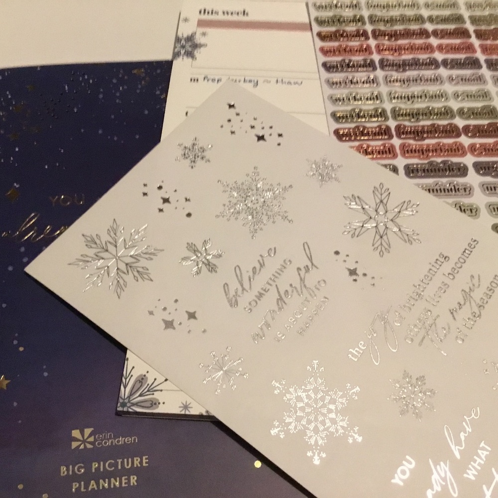 Erin Condren Petite Planner Winter 2022 SSB Lot Stickers, Big Picture, notepad